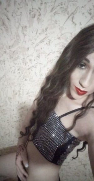 Транссексуалка Полина WhatsApp